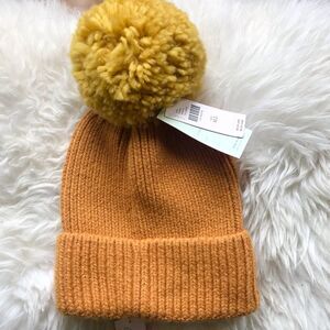 Anthropologie Pick-A-Pom Beanie & Topper Set NWT